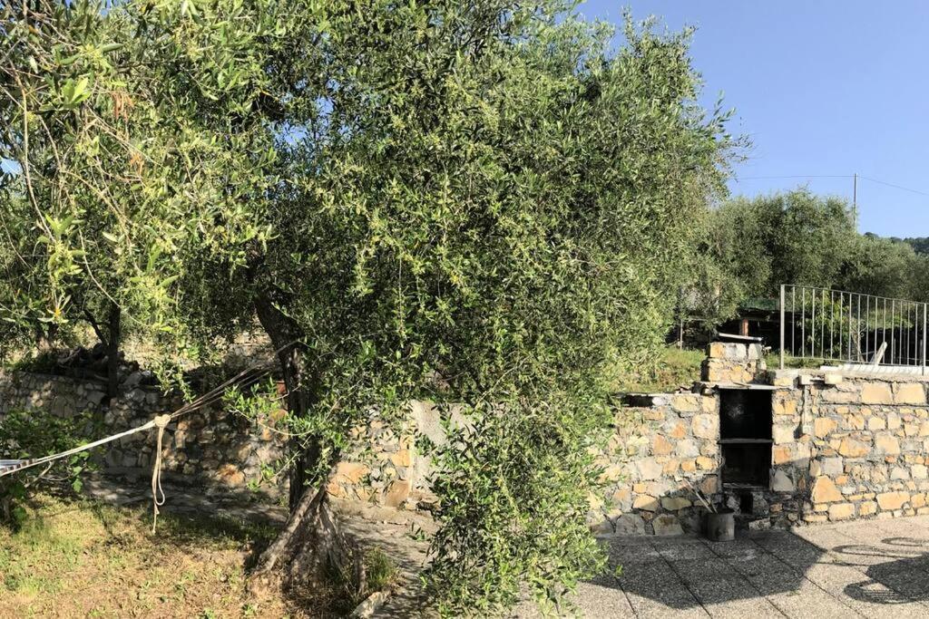 Villa Berio Due - Tuija Villa Viani 외부 사진