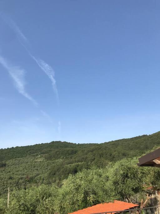 Villa Berio Due - Tuija Villa Viani 외부 사진