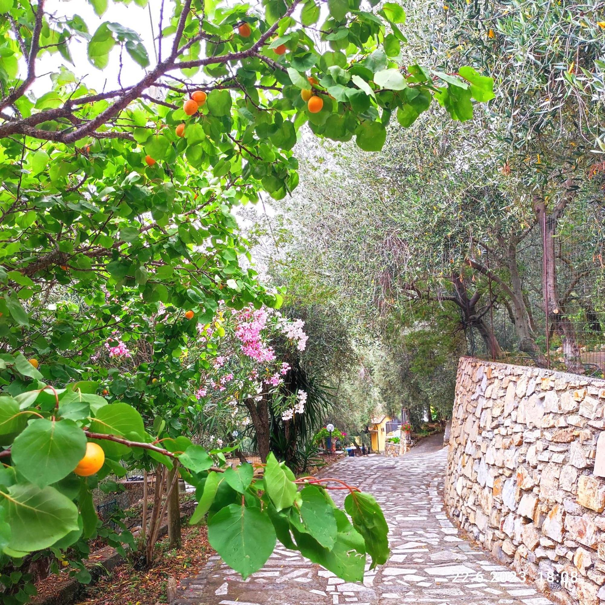 Villa Berio Due - Tuija Villa Viani 외부 사진